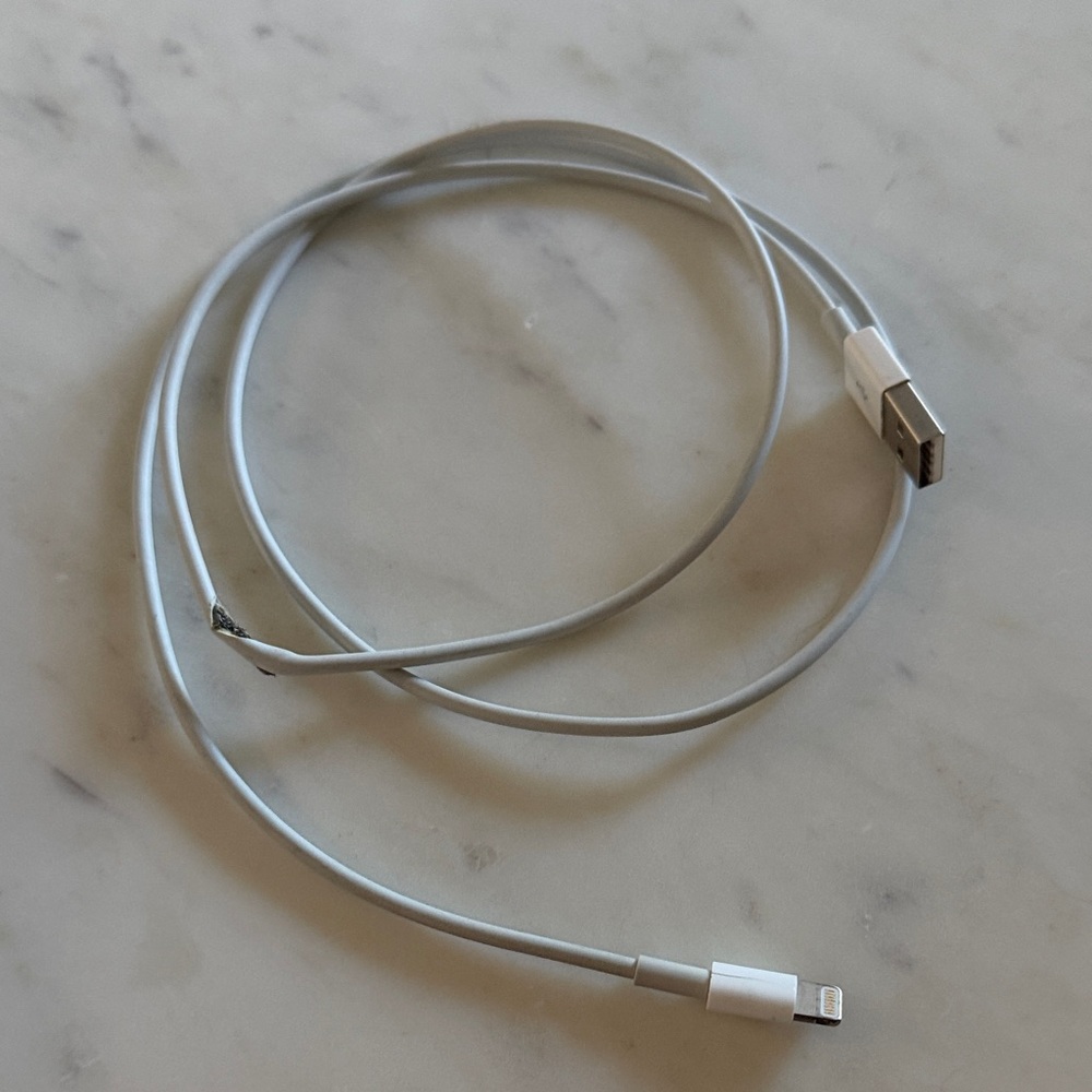 Apple Silver USB to Lightning Cable
